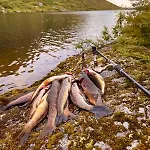 Vakantiehuis Soleiknuten Alsheia Moderne I Naturskjonne Omgivelser Tjorhom