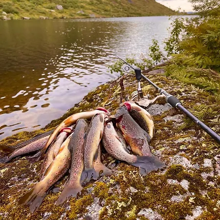 Holiday home Sirdal Alsheia Moderne Hytte I Naturskjonne Omgivelser Tjorhom