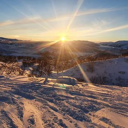 Soleiknuten Alsheia Moderne I Naturskjonne Omgivelser * Tjorhom