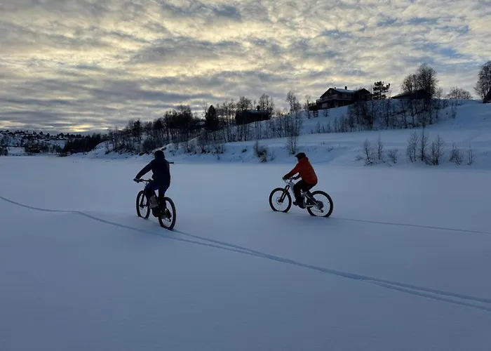 Soleiknuten Alsheia Moderne I Naturskjonne Omgivelser * Tjorhom
