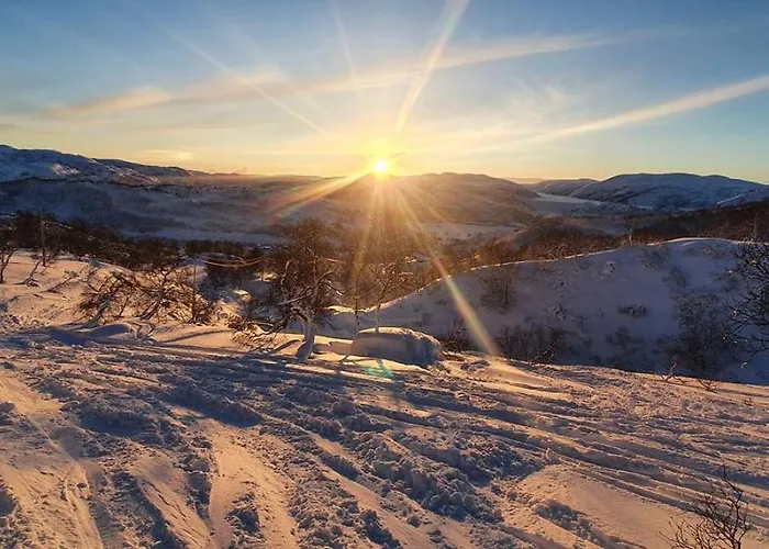 Soleiknuten Alsheia Moderne I Naturskjonne Omgivelser * Tjorhom